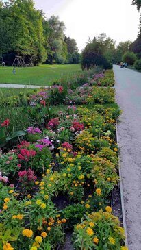 Ein Gehweg umrandet von Blumen