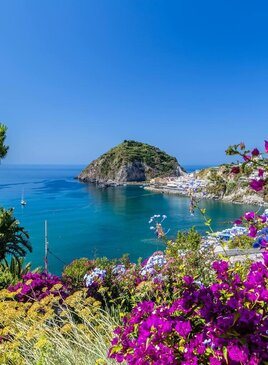 Ischia und Bougainvillea glabra Die Stadt Sant'Angelo mit kleinen weißen Häusern umgeben vom Meer. Im Vordergrund sind lila Blumen.