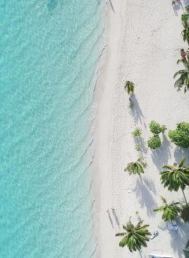 Ein hellblaues Meer und Sandstrand aus Vogelperspektive. Auf dem Strand sin Palmen.