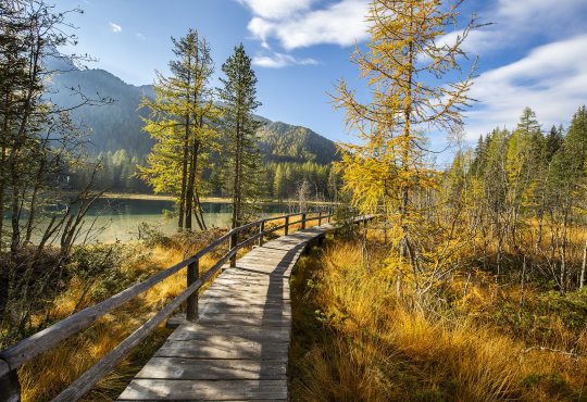 Falkensteiner Hotel & Spa Antholz, adults-only