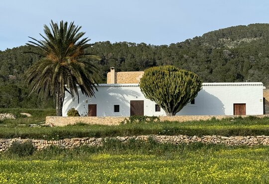 Wandern & Entspannen auf Ibiza - Cala Llenya Resort