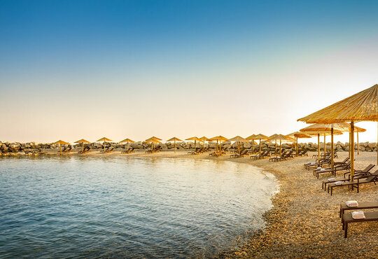 Aminess Viva Maestral Hotel (Erlebnisreise)