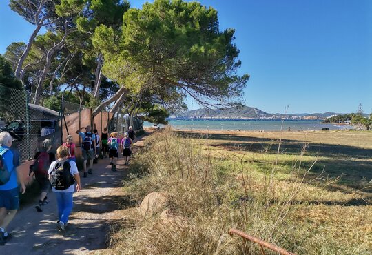 Wandern & Entspannen auf Ibiza - Cala Llenya Resort