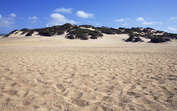 Breiter Sandstrand mit Düne an der Costa Verde auf Sardinien