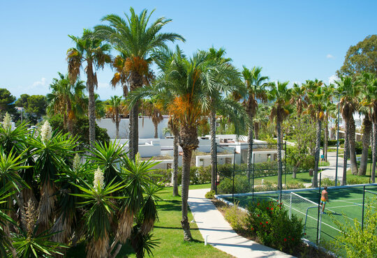 Wandern & Entspannen auf Ibiza - Cala Llenya Resort