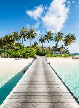 Eine hölzerne Brücke führ über das Wasser auf eine Insel mit Palmen.