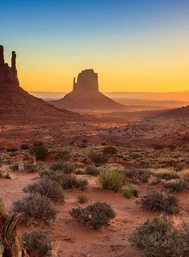 Rote Erde mit Pflanzen und rote Felsen in der Monument Valley