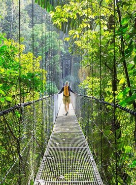 Ein Mann geht über eine Seilbrücke zwischen Bäumen.
