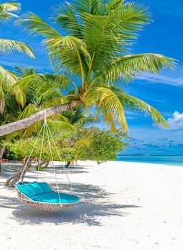 Ein Hängesessel hängt von einer Palme am Sandstrand.