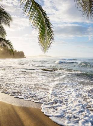 Meerschaum am Strand mit Palmenblättern im Vordergrund.