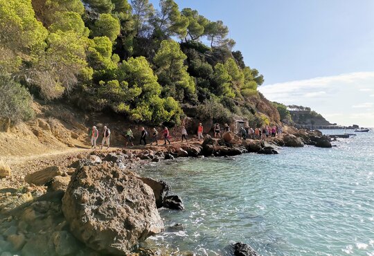 Wandern & Entspannen auf Ibiza - Cala Llenya Resort